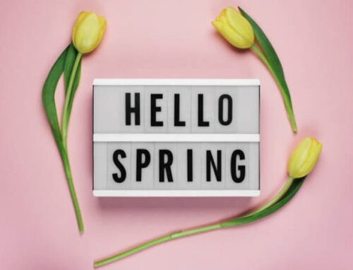 Hello to spring! And to reaping the rewards of the previous year’s hard work